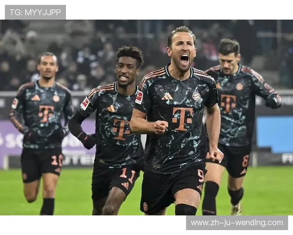 德甲俱乐部是否为民族性质球队？从德甲体制谈起