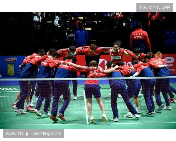 羽毛球视频国家 羽毛球视频国家